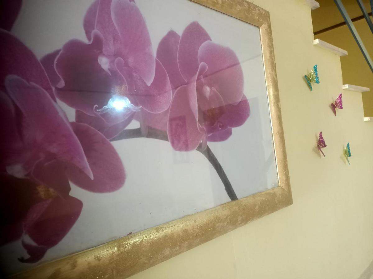 Willa Casa Sole Vetralla Zewnętrze zdjęcie
